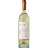 Benvolio Pinot Ggrigio